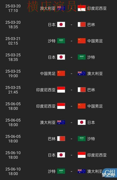 世界杯投注平台合集解析：直播入口全指南 - 2026世界杯