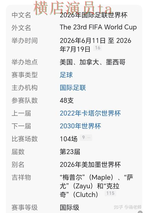 揭秘世界杯买球网站：从官网直达到使用全流程解析 - World Cup 2026